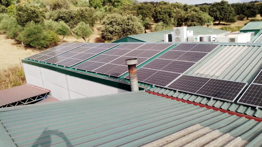 placas solares en empresas